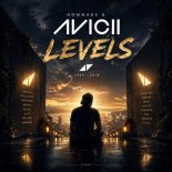 Dyaxo - Levels (Vocal Tribute)