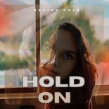Deejay Gold - Hold On