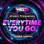 Dream Frequency and Wes P Feat. Sherie Hartill - Every Time You Go (Extended Mix)