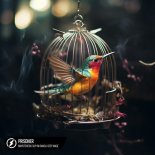 MARSTEREON, Sup I'm Bianca & Deep Mage - Prisoner