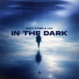 Matt Steep & L!LY - In The Dark