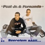 Peat Jr. & Fernando - Szerelem Szall...(Catana vs. Berdy Club Mix) (Remastered)