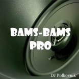 DJ Polkovnik - Bams-Bams Pro