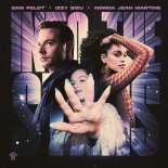 Sam Feldt & Izzy Bizu & Norma Jean Martine - Into The Stars