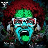 Andres Power, Outcode - Red Sunshine (Original Mix)