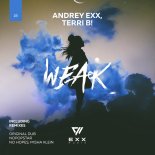 Andrey Exx & Terri B! - Weak (Misha Klein & No Hopes Extended Remix)