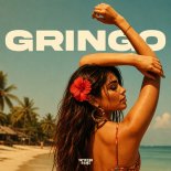 Twist3d Boys - Gringo