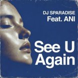 DJ Sparadise Feat. ANI - See U Again