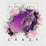 DJ Goja & Nito-Onna - Crazy