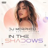 DJ MorpheuZ & Music Total - In The Shadows (feat. Ashley Potter)