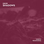 DRIZE - Shadows (Out of the Shadow Mix)