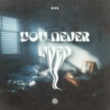 KVS - You Never Lived