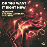 Quintino, Breathe Carolina & GIACOBBI - Do You Want It Right Now (Extended Mix)