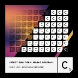 Fatboy Slim & Topic & Marco Generani - Right Here, Right Now (Rework)