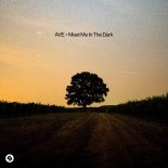 AVE - Meet Me In The Dark (Original Mix)