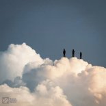 Dorey & Amy Wiles & KLP - Imagination