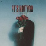 Vadim Adamov, Venteris & Girls Like You - It’s Not You