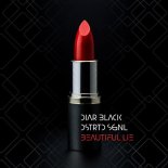DiarBlack & DSTRTD SGNL Feat. Helga Dyrfinna - Beautiful Lie (Club Version)