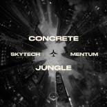 Skytech & Mentum - Concrete Jungle (Radio Mix)