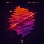 Simone D Jay - What Do You Want (Original Mix)