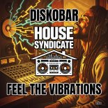 Diskobar - Feel The Vibrations (Original Mix)