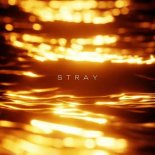 R3DN1K - Stray (Original Mix)