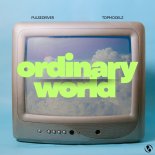 Pulsedriver & Topmodelz - Ordinary World (Extended Mix)
