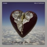 DVBBS & Nelly Furtado - Torture of the Heart (Extended Mix)