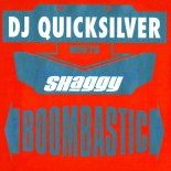 DJ Quicksilver Meets Shaggy - Boombastic (Catwalk Mix)