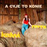 Kalwi & Remi feat. Diiya - A CYJE TO KONIE (Club Extended Mix)