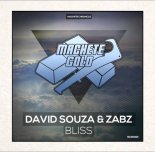 David Souza & Zabz - Bliss (Original Mix)