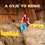 Kalwi & Remi, Diiya - A CYJE TO KONIE (Extended Mix)