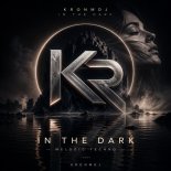 KronmDJ - IN THE DARK