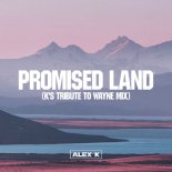 Alex K - Promised Land (K's Extended Trribute To Wayne Edit)