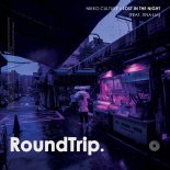 Nikko Culture feat. Tina Lm - Lost In The Night (Original Mix)