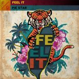 Pie Star - Feel It (Extended Mix)