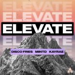 Disco Fries and Mintd and Kayrae - Elevate (Extended Mix)
