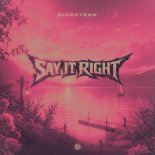 Discotekk - Say It Right
