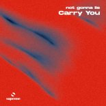 not gonna lie - Carry You