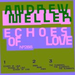 Andrew Meller - Echoes Of Love (Original Mix)