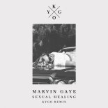 Marvin Gaye & Kygo - Sexual Healing (Kygo Remix)