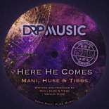 Mani, TIBBs, Huse - Here He Comes (Original Mix)