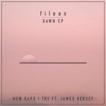 filous feat. James Hersey - How Hard I Try (Original Mix)