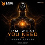 Bruno Robles - I'm What You Need (Original Mix)