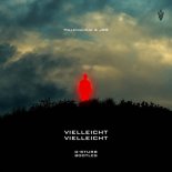 MilleniumKid & JBS - Vielleicht Vielleicht (D-Sturb Bootleg)