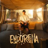 Qry - ENDORFINA XD (prod. clearmind)