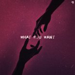 GAMPER & DADONI, Tribbs, mikuś, Darla Jade - What You Want