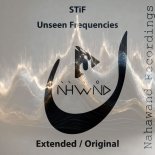 Stif (Cz) - Unseen Frequencies (Extended Mix)