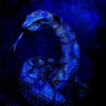 xxiene - Snake