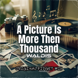 Waldis - A Picture is More Then Thousand (Original Fidget Mix)